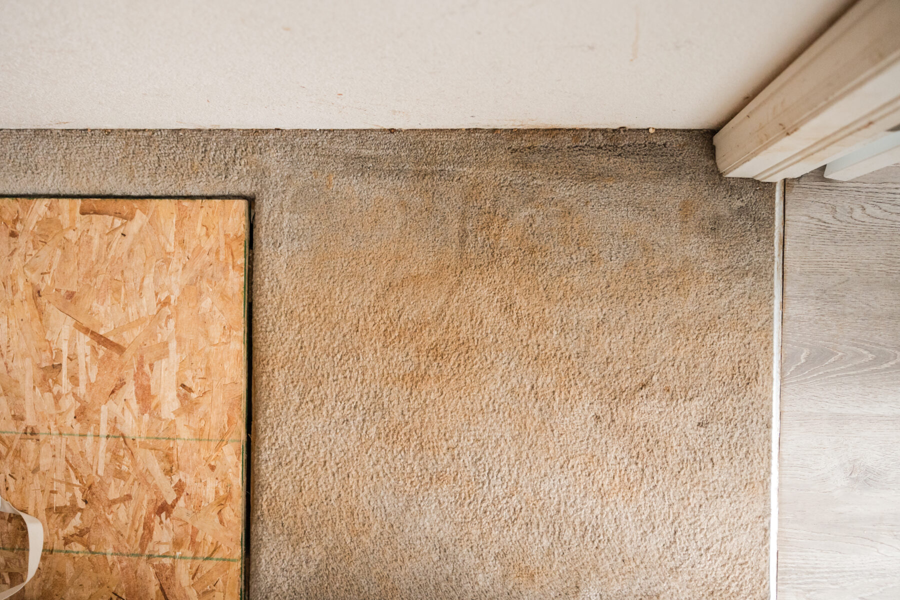 Carpet Cleaning Denver All Star Carpet Cleaners