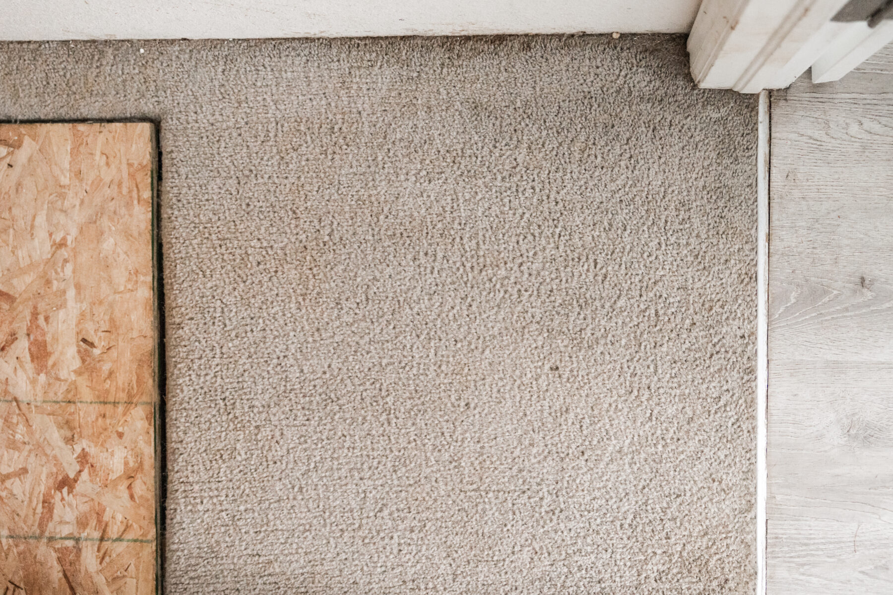 Carpet Cleaning Denver All Star Carpet Cleaners